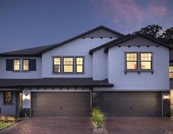 Pre-foreclosure in  ISOLA CT Wesley Chapel, FL 33543