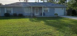 Pre-foreclosure in  RANSHIRE LN Palm Coast, FL 32164