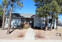 Pre-foreclosure in  W OLIVER Show Low, AZ 85901