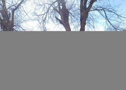 Pre-foreclosure in  N WASHINGTON AVE Prescott, AZ 86301