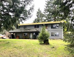 Pre-foreclosure in  BRANDYWINE CT SW Rochester, WA 98579