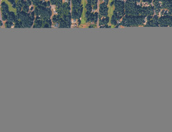  Tahoma Dr, Anderson Island WA