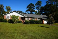 Pre-foreclosure in  LILY POND RD Albany, GA 31701