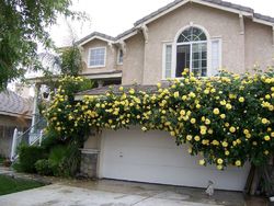  Amur Maple Dr, Bakersfield CA