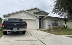  Early Run Ln, Riverview FL