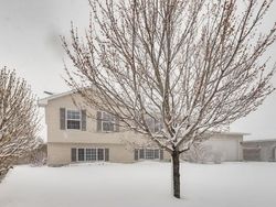Pre-foreclosure Listing in HERITAGE TRL BELLE PLAINE, MN 56011