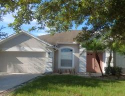 Pre-foreclosure in  HEARTLAND CIR Valrico, FL 33594