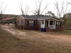Pre-foreclosure Listing in MONTGOMERY HWY LUVERNE, AL 36049