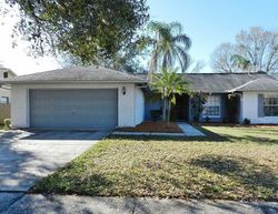 Pre-foreclosure in  YELLOW ROSE CIR Riverview, FL 33569
