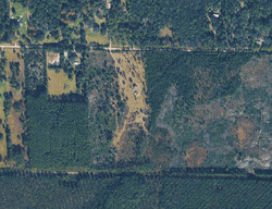 Pre-foreclosure in  NE 132ND PL Citra, FL 32113