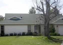 Pre-foreclosure in  JERSEY WOODS CT Orlando, FL 32824