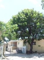  Nw 37th St, Miami FL