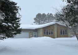 Pre-foreclosure in  ATLAS TRL NE Remer, MN 56672