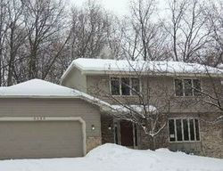 Pre-foreclosure Listing in MILL ST EXCELSIOR, MN 55331