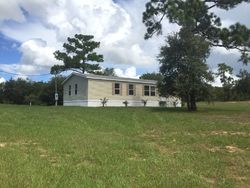 Pre-foreclosure Listing in WATKINS RD HAINES CITY, FL 33844