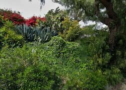  Cheltenham Rd, Santa Barbara CA