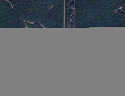 Pre-foreclosure Listing in N MAPLECREST DR SANFORD, MI 48657