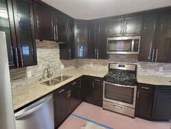 Pre-foreclosure in  166TH PL Calumet City, IL 60409