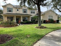  Lake Cora Rd, Apopka FL