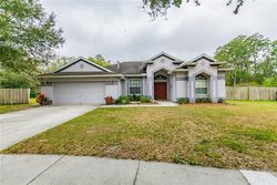 Pre-foreclosure in  GREENBANK DR Riverview, FL 33569