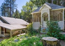 Pre-foreclosure in  CANYON CREEK RD Georgetown, CA 95634