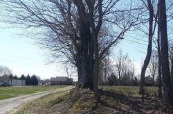  Kinneys Rd, Cedar Hill TN