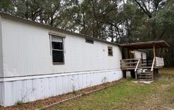 Pre-foreclosure Listing in NW ANCIENT CT LAKE CITY, FL 32055