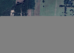 Pre-foreclosure in  COOPER LN Holt, FL 32564