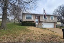 Pre-foreclosure in  FLAMM RD Imperial, MO 63052