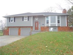 Pre-foreclosure in  W DONNA DR Excelsior Springs, MO 64024