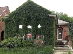 Pre-foreclosure in  S EUCLID AVE Chicago, IL 60617