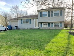 Pre-foreclosure in  GLEN HAVEN LN Batavia, OH 45103