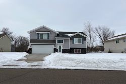 Pre-foreclosure Listing in PALOMINO ST BRAHAM, MN 55006