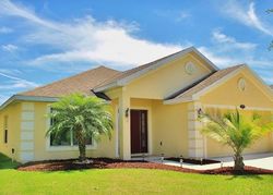 Pre-foreclosure in  NATURES SPIRIT DR Tampa, FL 33647