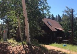 Pre-foreclosure in  BLUE JAY LN Divide, CO 80814