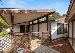 Pre-foreclosure in  CHESTNUT LN Clearlake Oaks, CA 95423