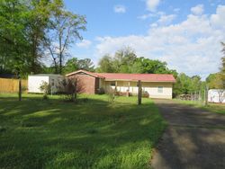 Pre-foreclosure Listing in SAINT MARY RD COTTONWOOD, AL 36320