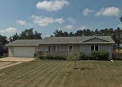 Pre-foreclosure Listing in ROSE ANNA BEACH RD NW RICE, MN 56367