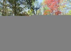 Pre-foreclosure in  E LAKESHORE DR Highland Lakes, NJ 07422