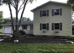 Pre-foreclosure Listing in N SAILOR ST BLUE EARTH, MN 56013
