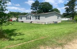 Pre-foreclosure Listing in FALCON PERCH CIR DENHAM SPRINGS, LA 70706