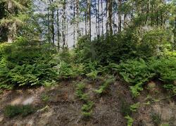 Pre-foreclosure in  SE MULLENIX RD Port Orchard, WA 98367