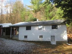 Pre-foreclosure in  FOREST INN RD Palmerton, PA 18071