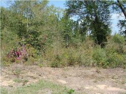  Pembrook Pl, Milton FL