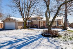 Pre-foreclosure Listing in S 80TH CT HICKORY HILLS, IL 60457