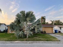 Pre-foreclosure in  ALLANDALE DR Holiday, FL 34691