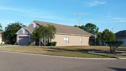  Big Pine Dr, Holiday FL
