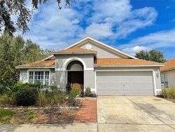 Pre-foreclosure in  SOARING EAGLE DR Riverview, FL 33578