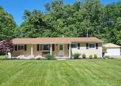 Pre-foreclosure in  MORGAN DR Painesville, OH 44077