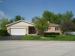 Pre-foreclosure in  W HERBERT CT Monee, IL 60449